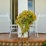 Coquette By Interhome * デニア